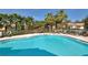 Beautiful outdoor swimming pool with lounge chairs and palm trees at 4200 Reflections Pkwy, Sarasota, FL 34233