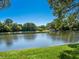 Expansive view of a tranquil pond surrounded by lush greenery and mature trees on a sunny day at 4374 Mirabella Cir, Bradenton, FL 34210