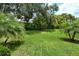 Grassy backyard featuring palm trees and tropical shrubs in a well-maintained landscape at 6214 45Th E Ln, Bradenton, FL 34203