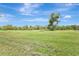 Expansive parcel of land featuring partially mowed grass and mature trees with a picturesque skyline at 6633 Old Ranch Rd, Sarasota, FL 34241