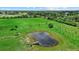 Aerial view showcasing a tranquil pond with a wooden dock, surrounded by lush greenery and mature trees at 6805 225Th E St, Bradenton, FL 34211