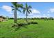 A sunny yard view featuring lush grass, palm trees, a rock garden and more surrounding greenery at 6805 225Th E St, Bradenton, FL 34211