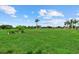 Beautiful manicured, grassy yard featuring lush green grass, palm trees and mature trees at 6805 225Th E St, Bradenton, FL 34211