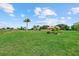 Beautiful yard featuring lush grass, palm trees and landscaping at 6805 225Th E St, Bradenton, FL 34211
