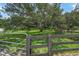 Serene backyard featuring majestic oak trees and lush greenery, creating a private oasis at 7343 Palomino Trl, Sarasota, FL 34241