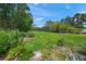 Lush backyard space surrounded by trees and plants, perfect for outdoor activities and relaxation at 7343 Palomino Trl, Sarasota, FL 34241