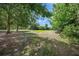 Expansive backyard with lush grass, mature trees, and natural beauty offering ample outdoor space at 7343 Palomino Trl, Sarasota, FL 34241