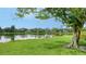 Expansive backyard with lush green grass and a serene lake view offer peaceful outdoor retreat at 7426 Weeping Willow Blvd, Sarasota, FL 34241