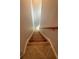 Carpeted stairs going down with a wooden handrail leading to the lower level of the home at 10054 Crooked Creek Dr # 201, Venice, FL 34293