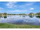 Beautiful lake view homes with green grass at waters edge at 11328 Rivers Bluff Cir, Lakewood Ranch, FL 34202
