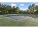 Well-maintained tennis court with nets, ready for a friendly match in a scenic setting at 11508 30Th E Cv, Parrish, FL 34219