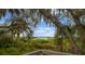 Scenic view framed by trees, offering a tranquil glimpse of a serene lake and sky at 11508 30Th E Cv, Parrish, FL 34219