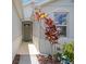Covered entryway with decorative plants and a frog sculpture at 13804 Woodbridge Ter, Lakewood Ranch, FL 34211