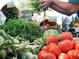 Fresh produce assortment with tomatoes, asparagus, corn, and leafy greens at a farmer's market at 1732 6Th St, Sarasota, FL 34236
