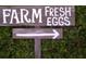 Rustic sign pointing to farm fresh eggs surrounded by lush greenery at 1732 6Th St, Sarasota, FL 34236