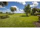 This is a beautiful view of the community golf course featuring palm trees and blue skies at 234 Padova Way, North Venice, FL 34275