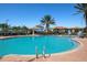 Large community pool with ample seating, umbrellas and palm trees, perfect for relaxing and enjoying the Florida sunshine at 234 Padova Way, North Venice, FL 34275