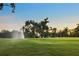 Scenic view of a lush golf course featuring a beautiful fountain and lush green grass at 3658 Torrey Pines Way, Sarasota, FL 34238