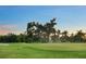 A lush green golf course featuring a large tree, blue flag and beautiful sky at 3658 Torrey Pines Way, Sarasota, FL 34238