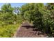 Community walking trail winding through natural landscape, perfect for leisurely strolls at 6845 74Th Street E Cir, Bradenton, FL 34203