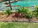 A view of plants and foliage near the pool area, enhancing the outdoor space with nature at 7604 Weeping Willow Cir, Sarasota, FL 34241