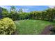 Lush green backyard with well-maintained lawn and landscaping, offering a serene outdoor space at 11422 Apple Tree Cir, Bradenton, FL 34211