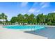 Large community pool with numerous lounge chairs and umbrellas, surrounded by tropical landscaping at 11422 Apple Tree Cir, Bradenton, FL 34211