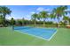 Enjoy a fun game of pickleball on this well-maintained community court surrounded by lush greenery at 11422 Apple Tree Cir, Bradenton, FL 34211