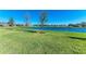 Well-manicured lawn with beautiful lake view and newly planted trees in a residential community at 12827 Lily Quartz Loop, Parrish, FL 34219