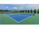Outdoor pickleball courts offering an active recreational space with scenic views at 13908 Painted Loop, Parrish, FL 34219