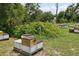 Beehives placed in a serene, grassy field with lush vegetation, showcasing a unique agricultural aspect at 15780 Wilson Rd, Sarasota, FL 34240