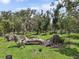 Scenic view of land with trees, fallen trees, and lush greenery, showcasing a rustic natural setting at 15780 Wilson Rd, Sarasota, FL 34240