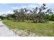Scenic view of expansive land dotted with mature trees, showcasing the property's natural beauty at 15780 Wilson Rd, Sarasota, FL 34240