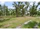 Spacious, partially wooded yard with scattered trees and underbrush creating a tranquil and natural setting at 15780 Wilson Rd, Sarasota, FL 34240