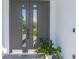 Modern double front doors with glass panels, set in a white frame, accented by a potted plant at 8045 Bosco Rd, Port Charlotte, FL 33981