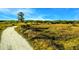 Observation tower overlooking the landscape featuring golden field, path and blue sky at 1408 99Th Nw St, Bradenton, FL 34209