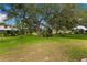Spacious backyard features a large tree offering shade and a lush green lawn at 2559 Wood Oak Dr, Sarasota, FL 34232