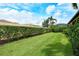 A well-maintained backyard with lush green grass and privacy hedges, offering a peaceful outdoor space at 4916 Tivoli Run, Bradenton, FL 34211