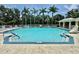 Large community pool with clear blue water, surrounded by lounge chairs, umbrellas, and tropical landscaping at 5620 Whitehead St, Bradenton, FL 34203