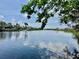 Tranquil water view with a clear blue sky, framed by lush green trees at 5620 Whitehead St, Bradenton, FL 34203