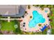 Aerial view of the pool featuring lounge chairs, umbrellas, and lush landscaping, perfect for relaxation at 5927 Maidenstone Way, Palmetto, FL 34221