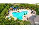 Aerial view of large community pool with unique shape, sun loungers, palm trees, and lush greenery at 5927 Maidenstone Way, Palmetto, FL 34221