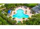 Overhead view of a large community pool surrounded by palm trees, sun loungers, umbrellas, and lush landscaping at 5927 Maidenstone Way, Palmetto, FL 34221