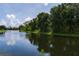 A peaceful pond surrounded by trees, grass, and blue sky at 6114 68Th E Dr, Palmetto, FL 34221
