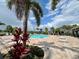 A resort-style pool and community area surrounded by palm trees, lounge chairs, and lush landscaping at 8995 Milestone Dr, Sarasota, FL 34238