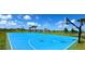 Outdoor blue basketball court surrounded by palm trees and blue skies at 9292 Tequila Sunrise Dr, Sarasota, FL 34241