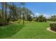 Expansive grassy backyard with mature trees offering plenty of space at 10022 Laurel Valley Avenue Cir, Bradenton, FL 34202