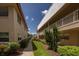Exterior view of condo complex showing manicured landscaping with walkways, plants, and stairs at 10037 62Nd N Ter # 23, St Petersburg, FL 33708