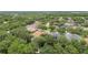 An aerial view showcasing homes nestled among lush trees, highlighting the community's serene environment and spacious lawns at 11009 Wildcat Dr, Riverview, FL 33579