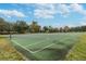 The green-surface basketball court provides an open space for sports and recreation under a sky with scattered clouds and trees at 11009 Wildcat Dr, Riverview, FL 33579